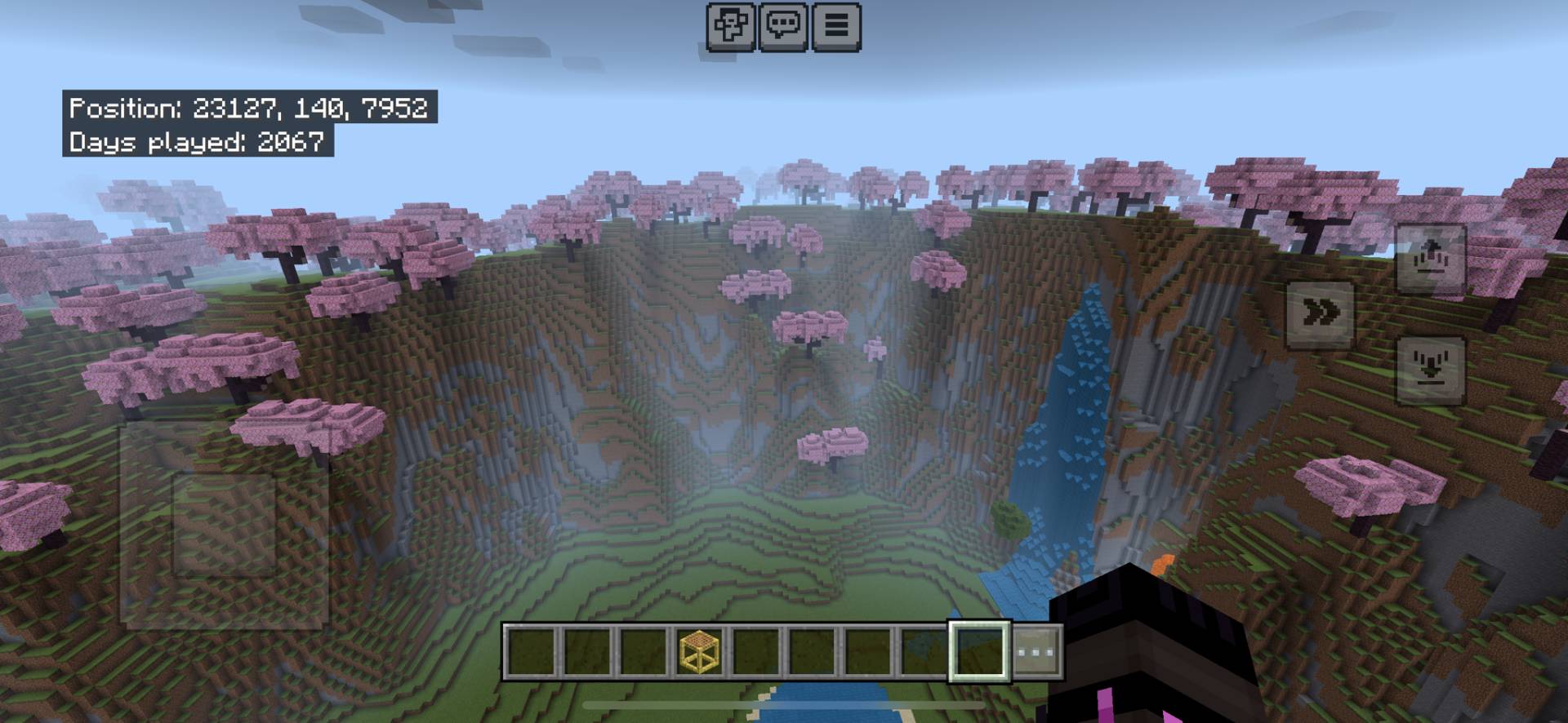 Massive Cherry Blossom Valley