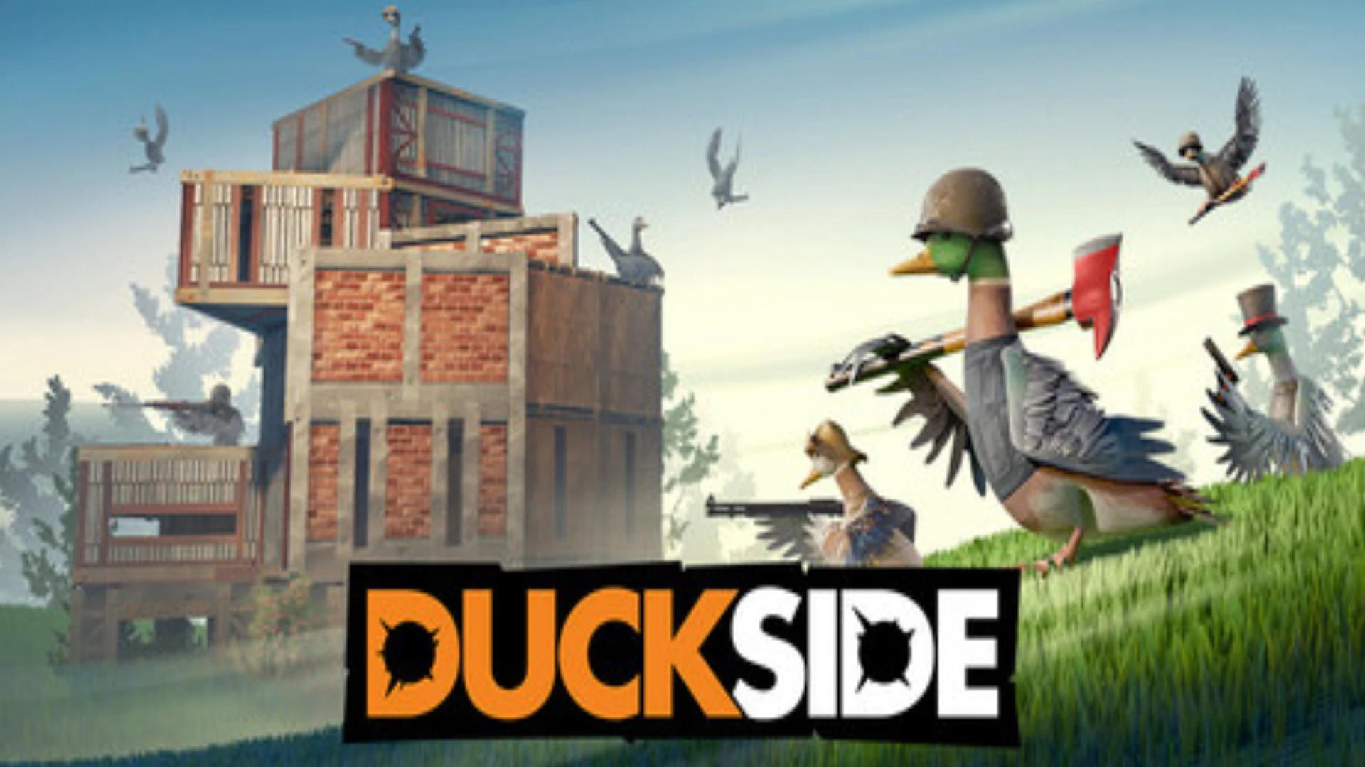 5 Best Duckside Server Hosting Providers