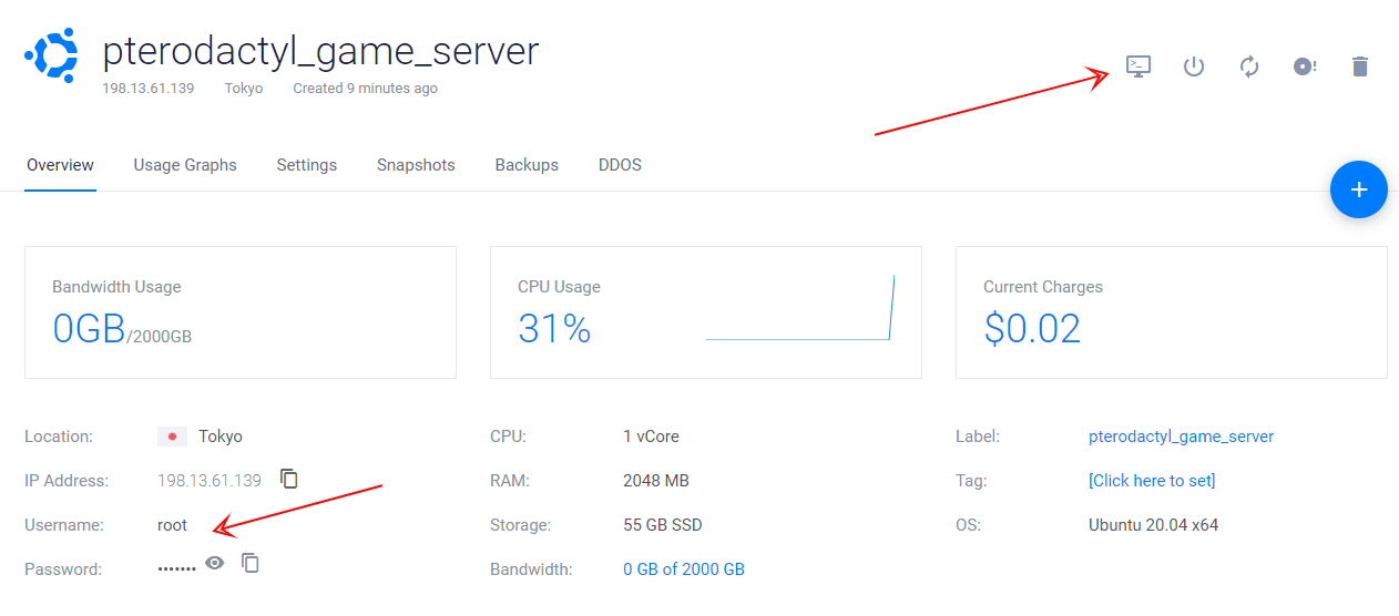 access ssh vultr