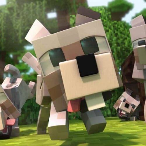 Best Minecraft Pets Servers