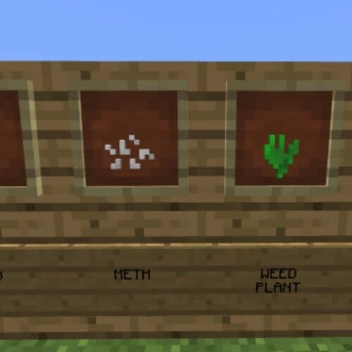 Minecraft drug servers