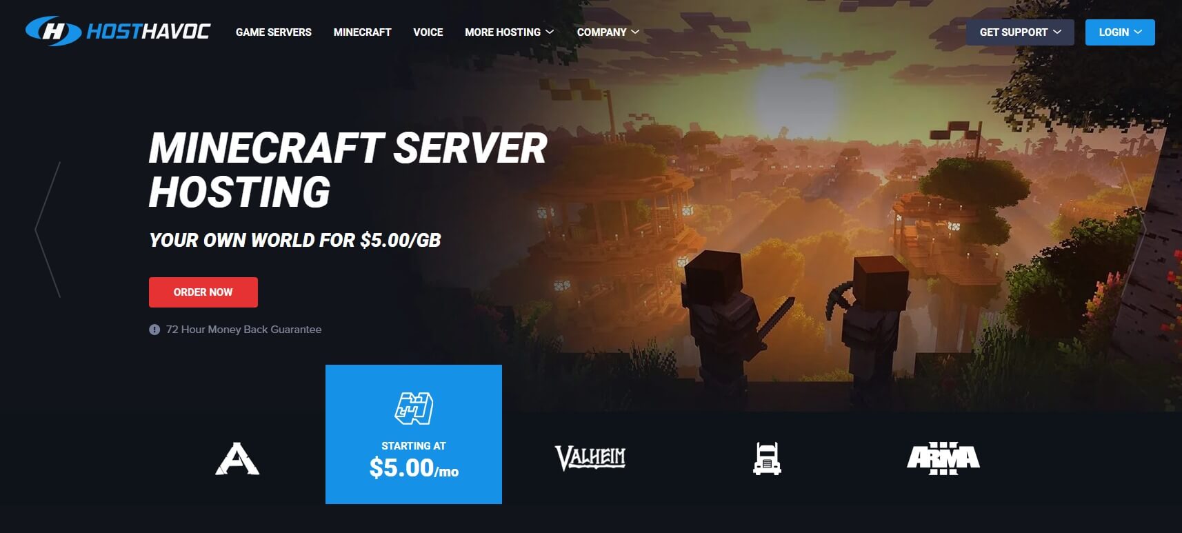 Host Havoc Game Server Voice and Web Hosting Provider