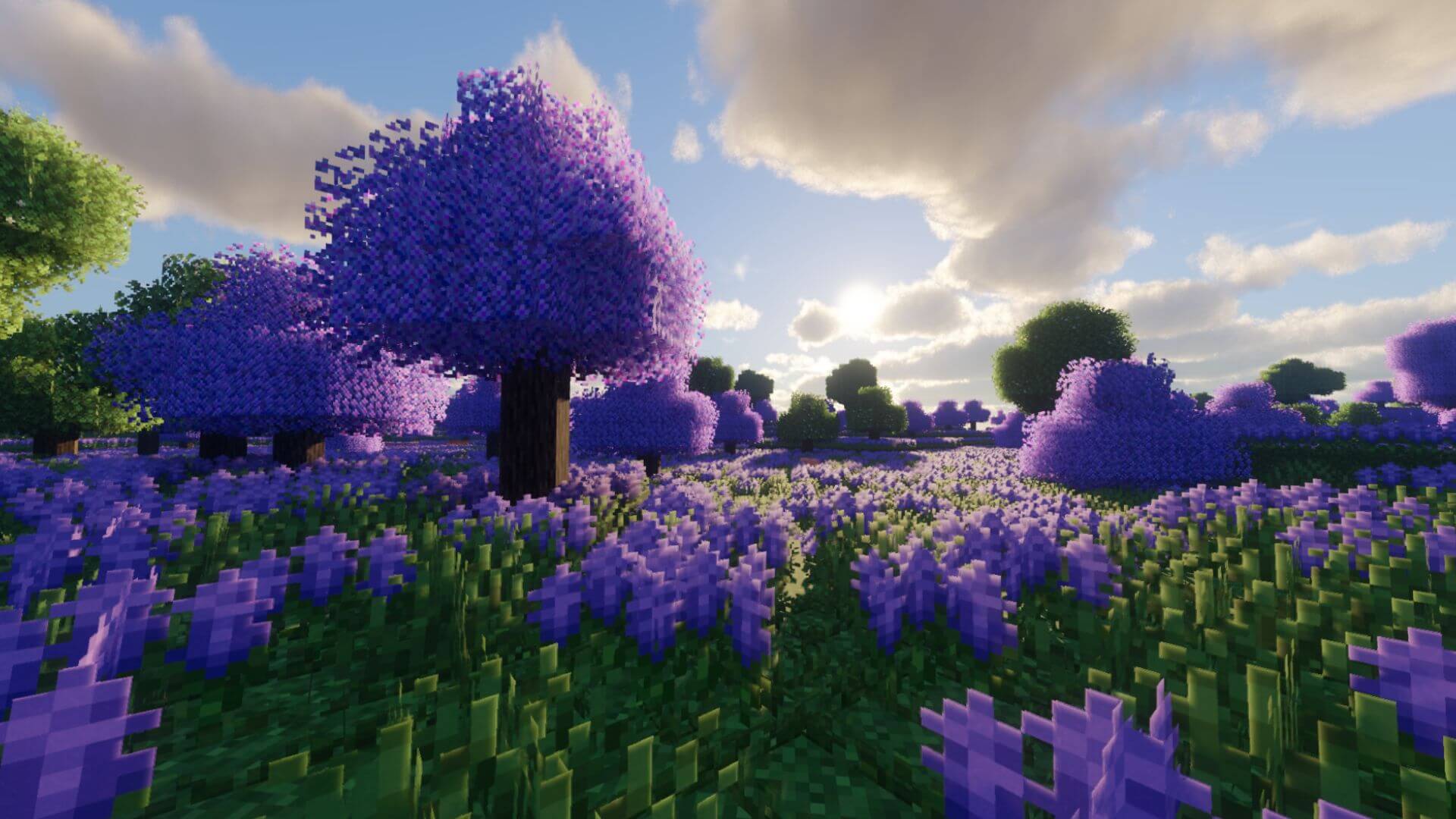 Minecraft Biomes