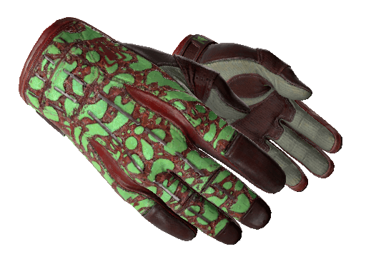 Gloves That Kill: How CSGO Accessories are Changing the Game